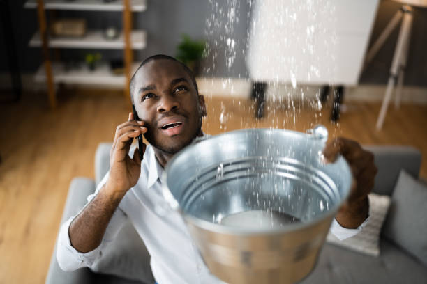 Best 24-hour water damage restoration  in Brookville, IN