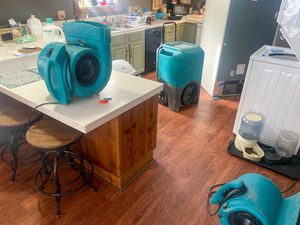 Best Basement water damage restoration  in Brookville, IN