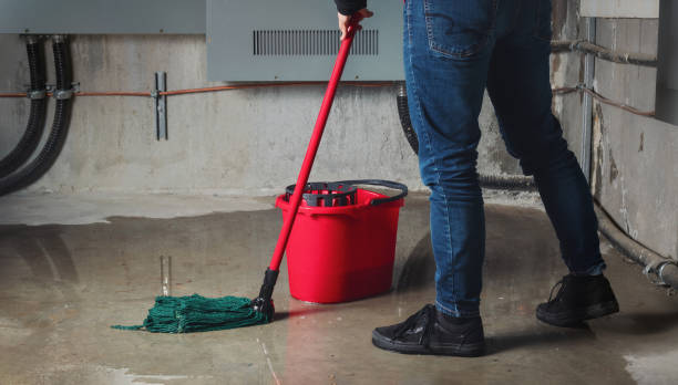  Brookville, IN Water damage restoration Pros