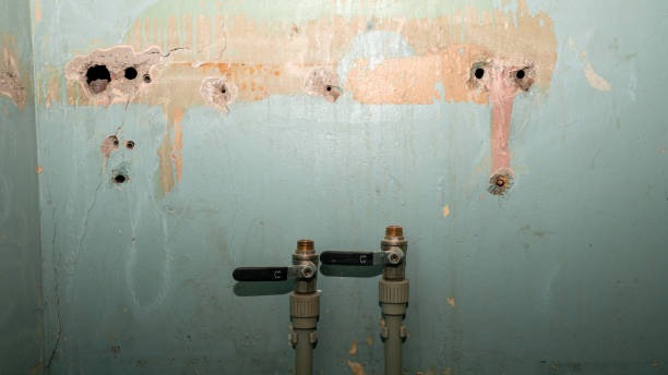 Best Sewage cleanup and water damage restoration  in Brookville, IN