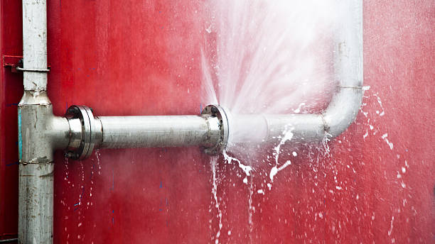 Best Water damage restoration process  in Brookville, IN